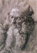 Albrecht Durer Study of a Man Aged France oil painting artist